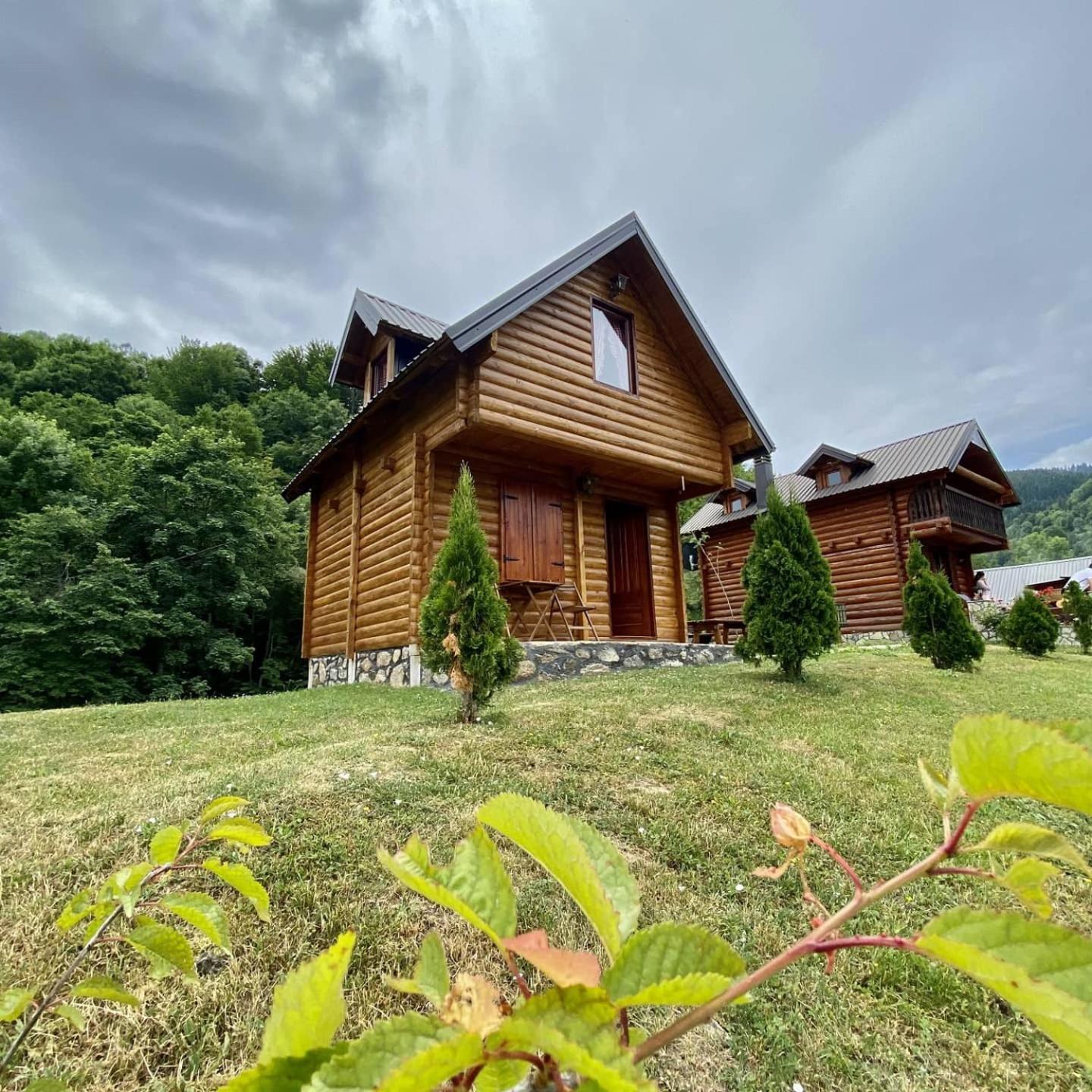 Vila Gradine - Katun Kamp Plav Pokoj fotografie